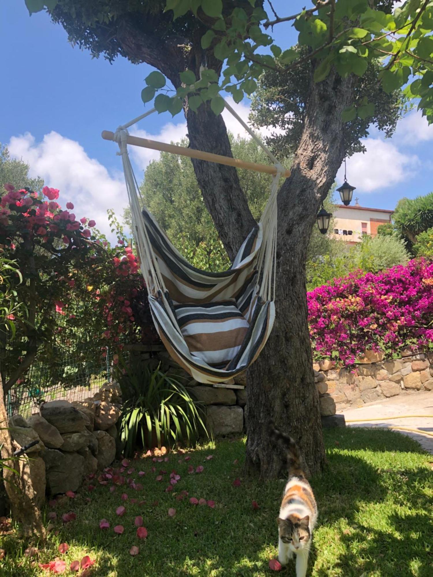 Villa Il Vicolo Palinuro Pisciotta Exterior foto